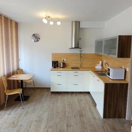 Eel Apartment Brno
