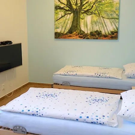 Eel Apartment Brno