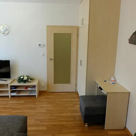 Eel Apartment