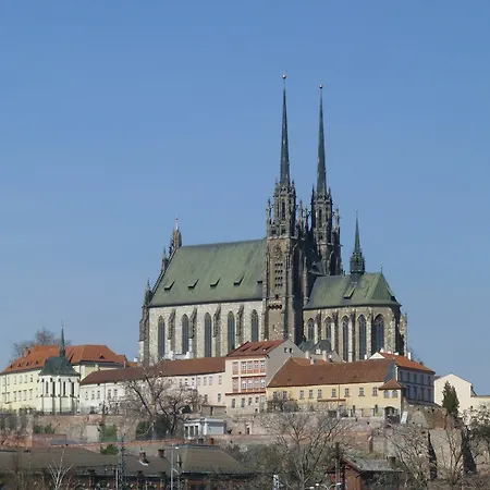 Eel * Brno